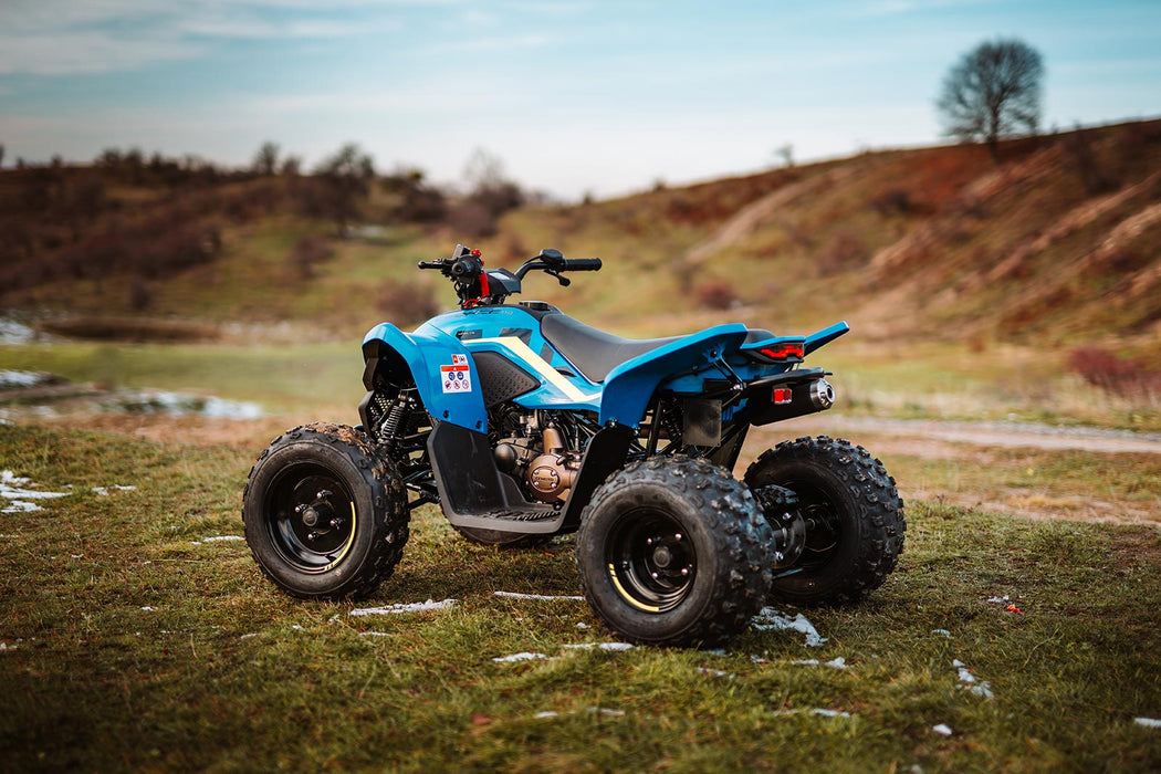 CFMOTO CForce CE 110 Youth ATV Quad