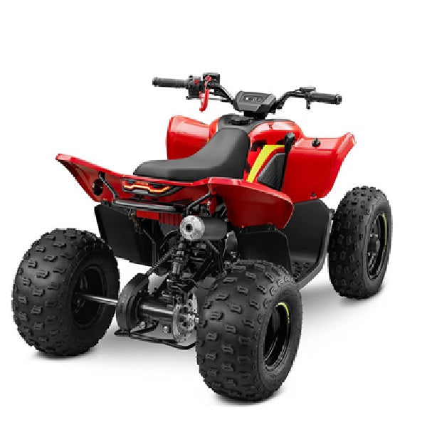 CFMOTO CForce CE 110 Youth ATV Quad