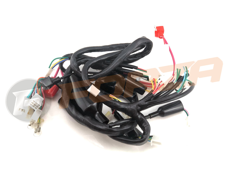 TNT Roma Std 2T Wire Harness (loom) 2024 - NOW