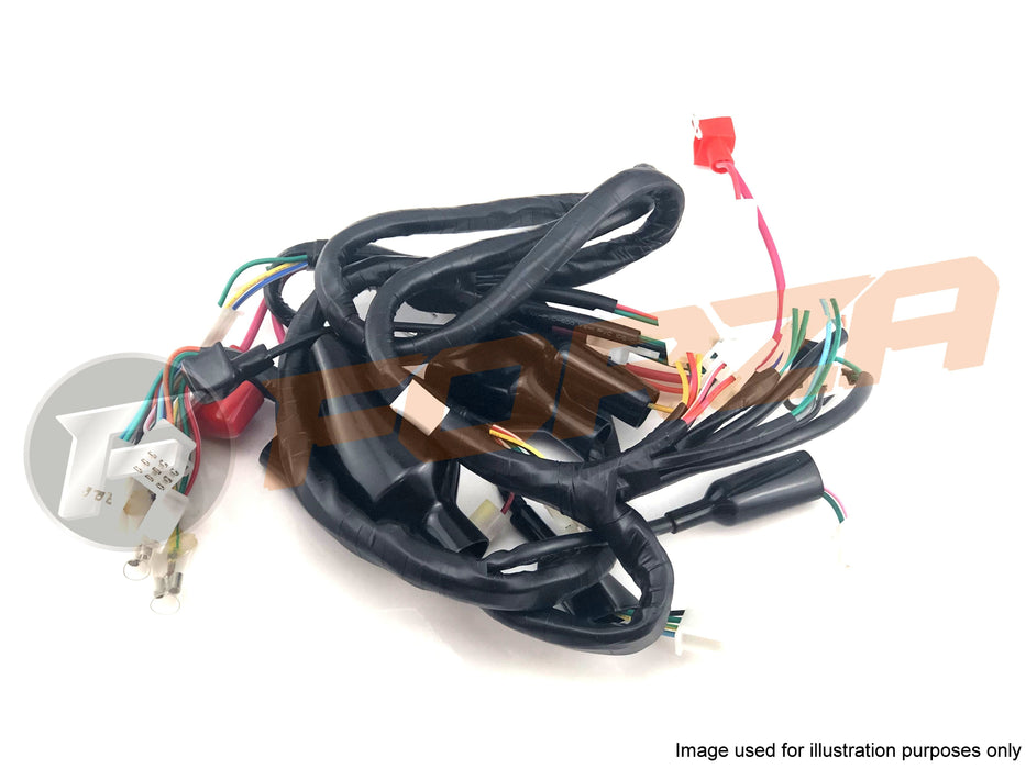 TNT Otto 50 2T Wire Harness (loom) 2012 - 2018