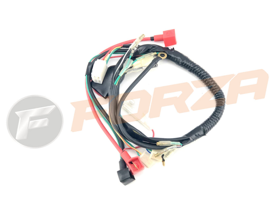 Pitsterpro Wire Loom - XJR70 (Electrical Start)