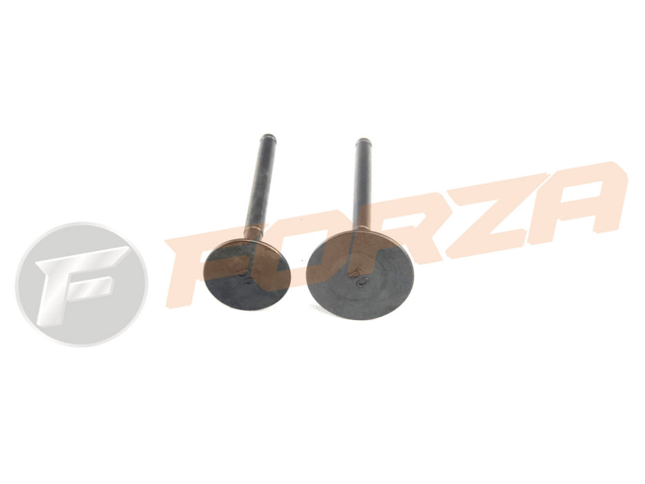 FORZA Engine Valve kit (Intake&Exhaust) - ZS140