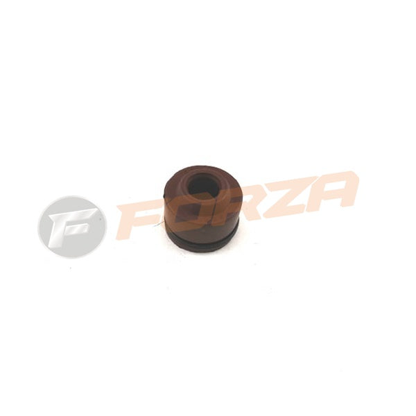 FORZA 4T Scooter Engine Valve seals